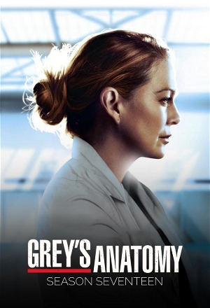 Grey's Anatomy S17E13 Good as Hell