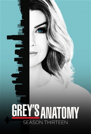 Grey's Anatomy_0013