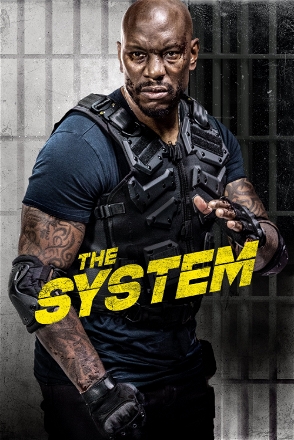 System