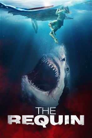 Requin